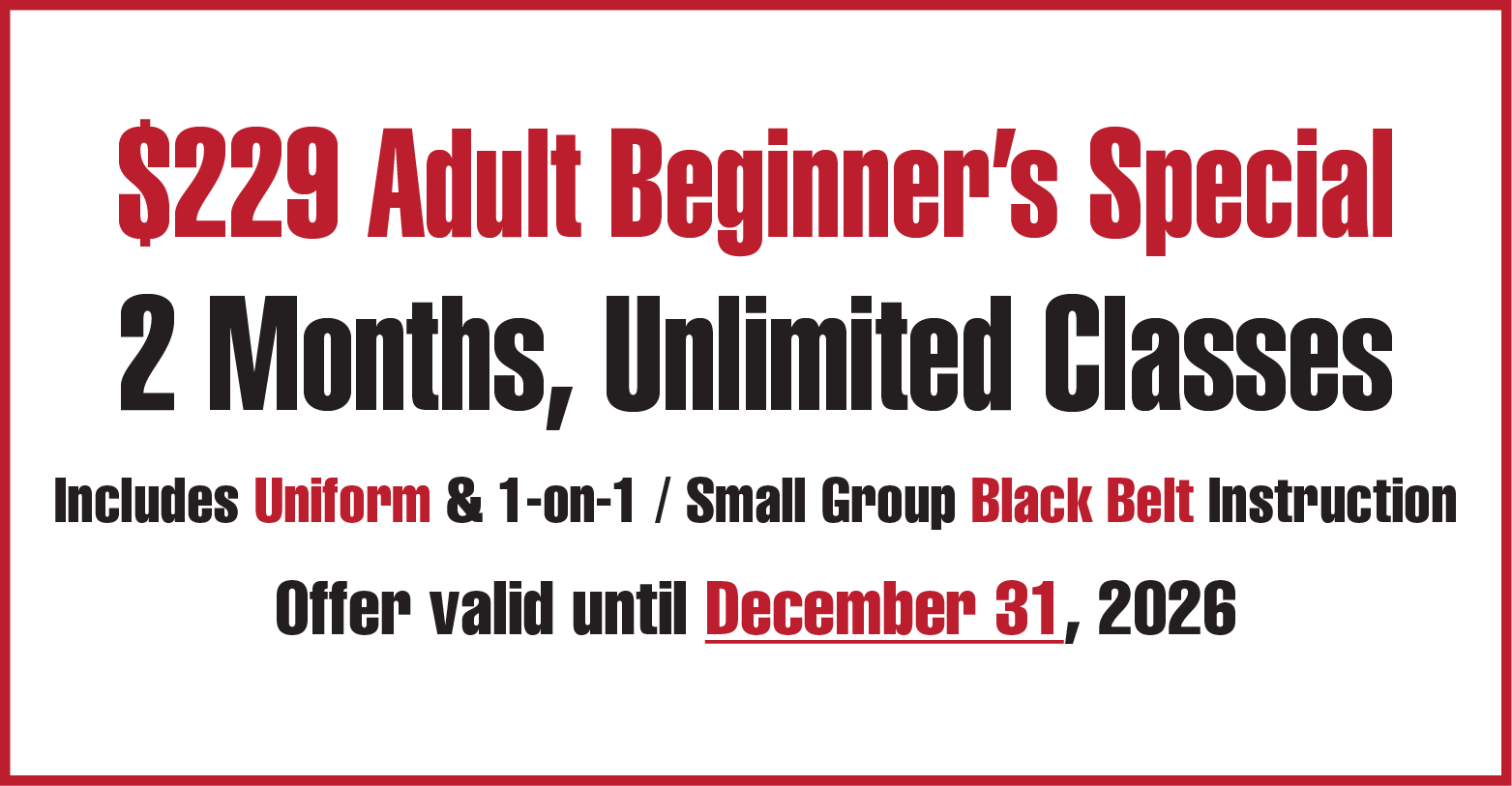 Bigrock Aikikai adult beginner special